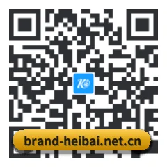 安卓掌上数据终端 二维码